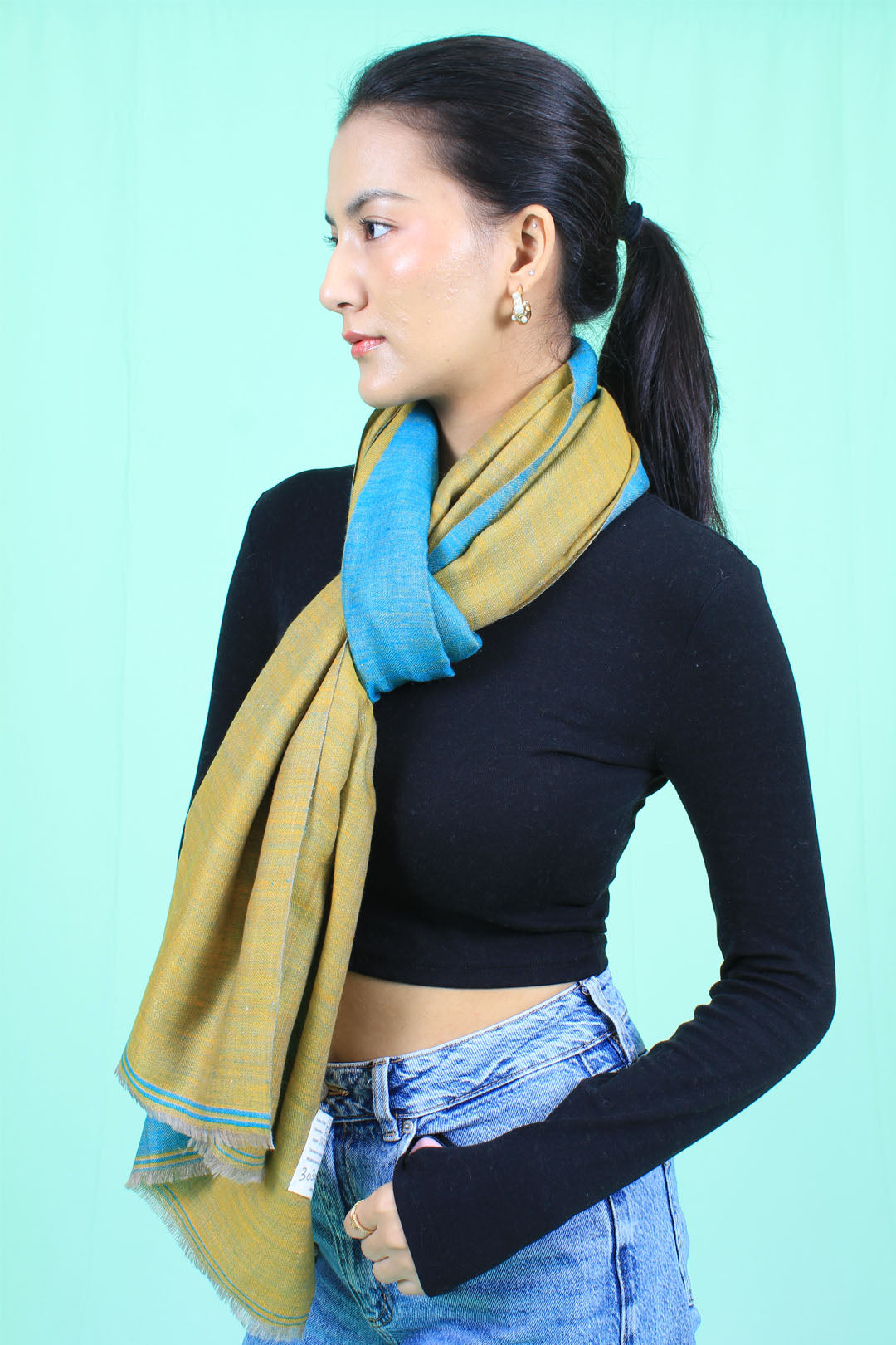 Ronak Reversible Cashmere Stole