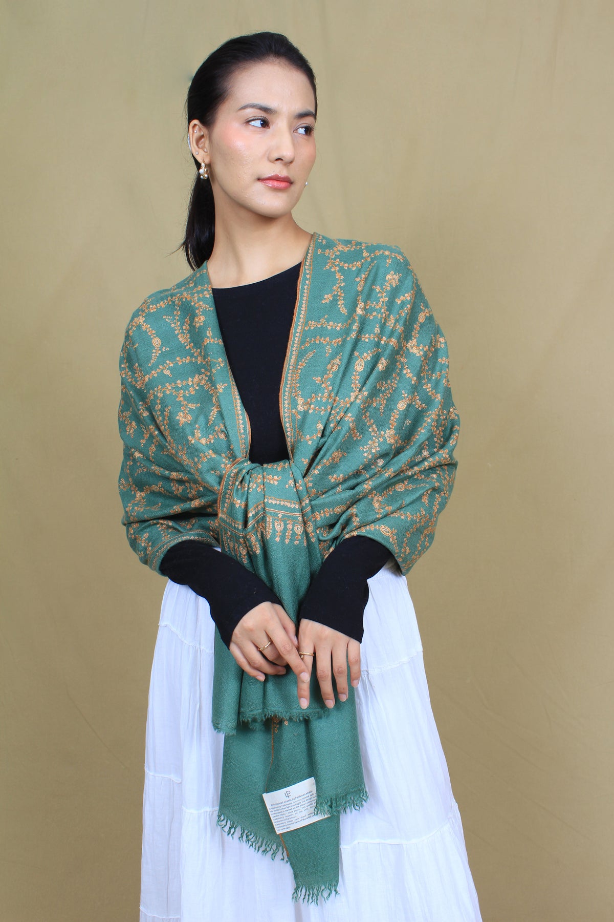 Shayaan Cadmium Green Sozni Jaali Embroidered Pashmina Stole