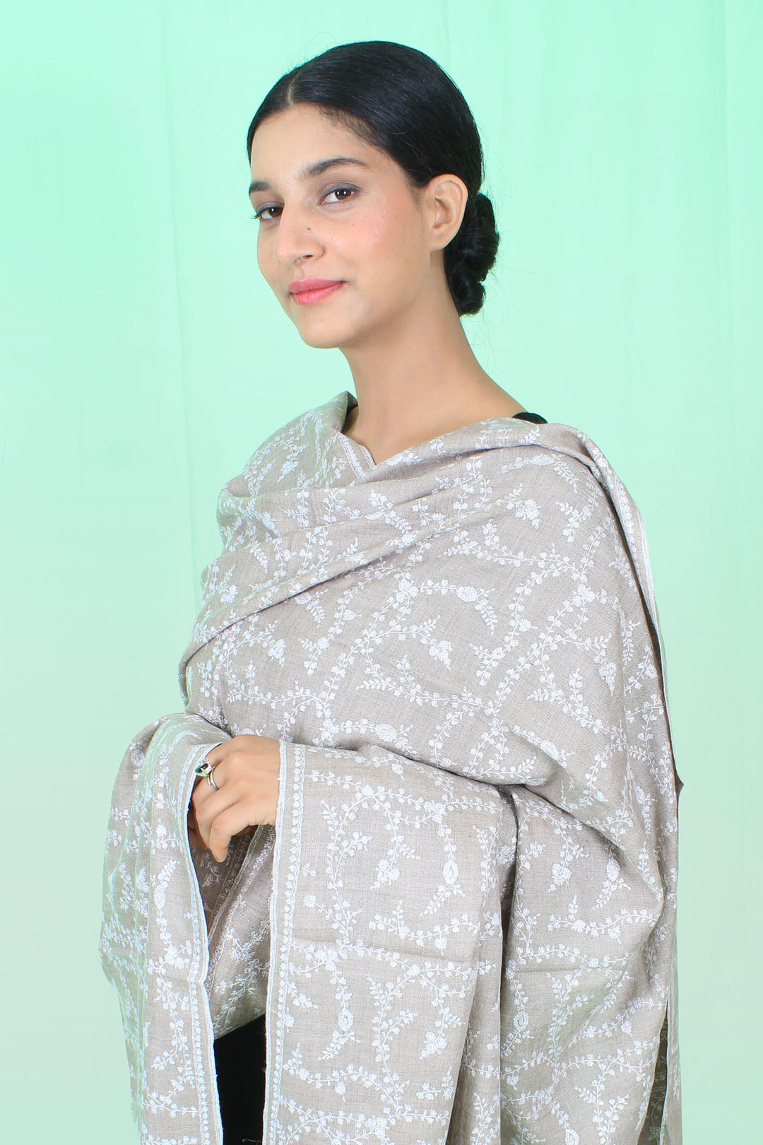 Haleem Pastel Beige Sozni Jaali Pashmina Shawl