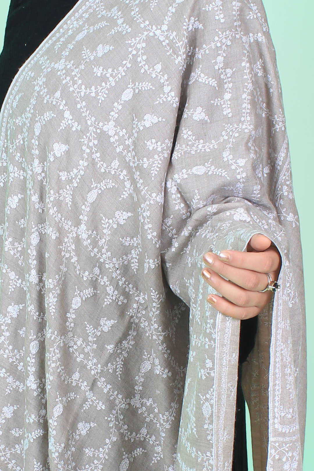 Haleem Pastel Beige Sozni Jaali Pashmina Shawl