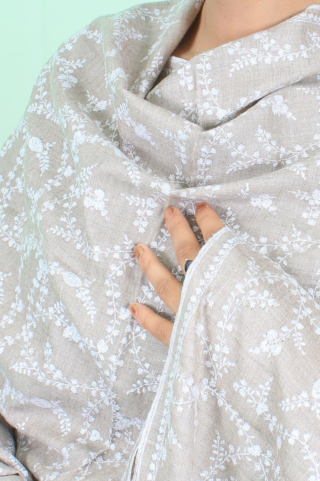 Haleem Pastel Beige Sozni Jaali Pashmina Shawl